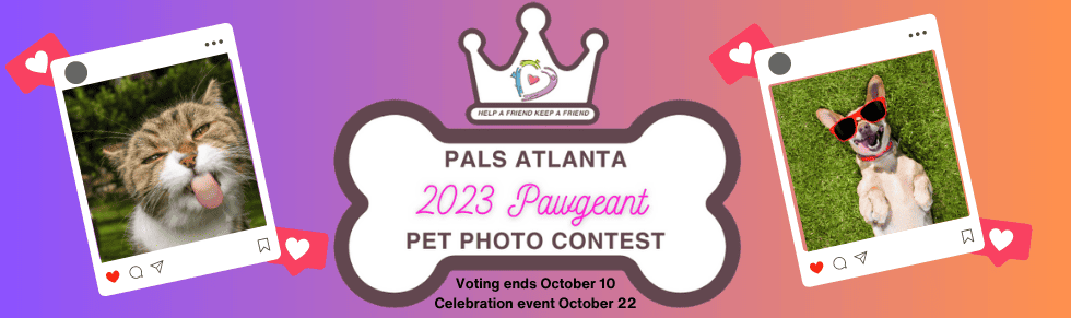 pawgent-contest-banner